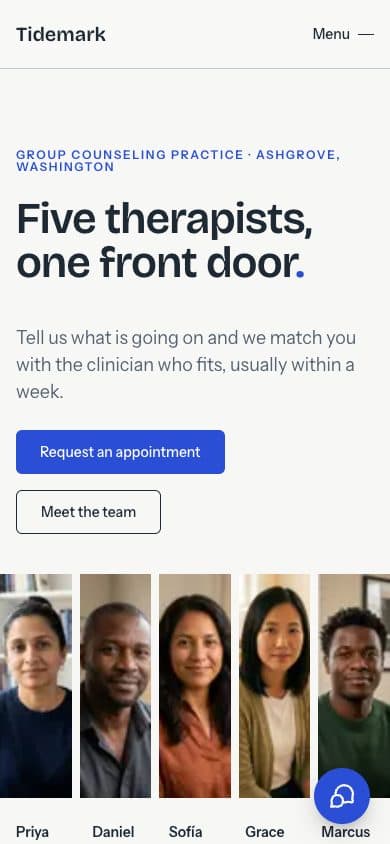 Tidemark: the home page on a phone